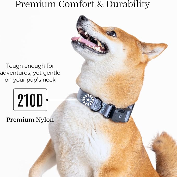 2025 New Edition, Fei & Eve MagEase Dog Collar - Patented Magnetic Buckles | Fur-Safe | Premium 210D Nylon | 450LB Escape-Proof | Adjustable Fit | Small (Dusk Blue)
