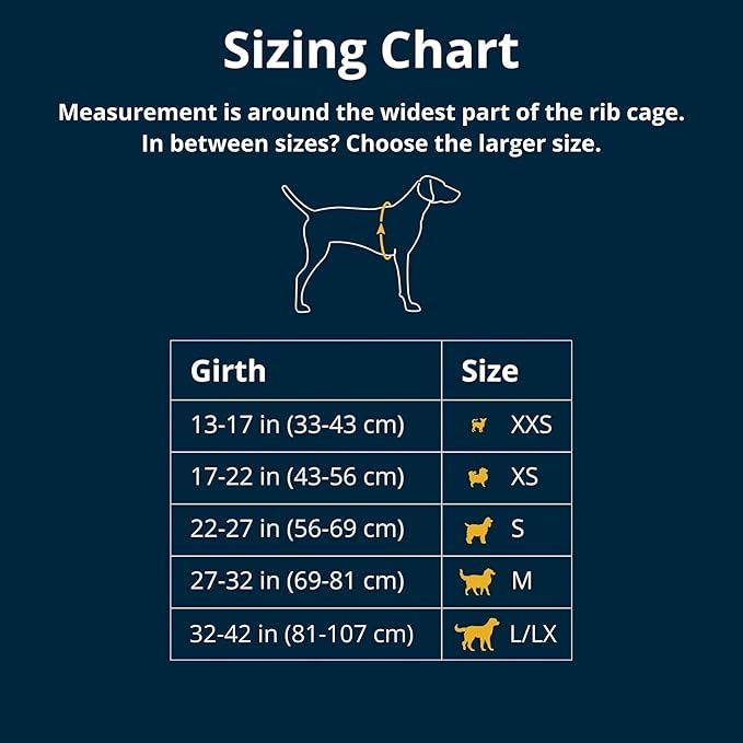 Ruffwear, Front Range Dog Harness, Reflective Soft Padded Everyday Harness with Dual Leash Clips, Adjustable and Lightweight Fit for Training or Walking for All Dogs, Blaze Orange, X-Small