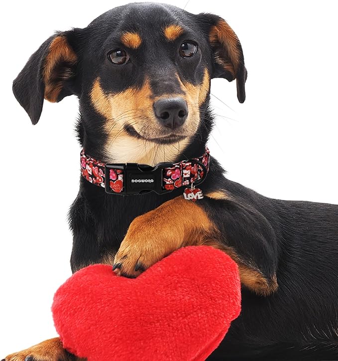 DOGWONG Valentine Dog Collar- Cute Red Heart Dog Collars Adjustable Durable Designer Valentine’s Day Dog Collar for Small Medium Large Dogs XS