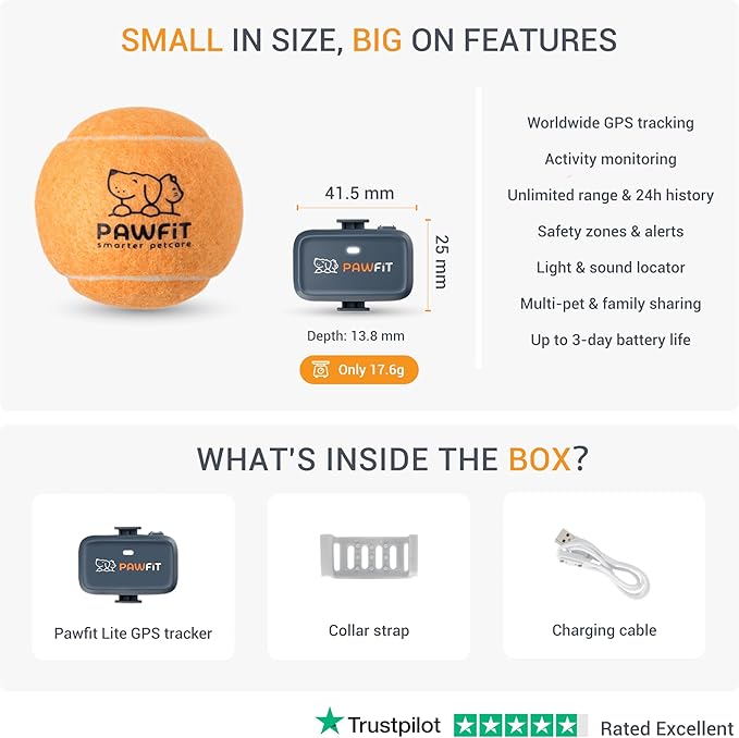 Pawfit Lite for Small Dogs 4g GPS Tracker | Real Time Tracking | Activity Monitoring |Location History | Unlimited Range | Charcoal Grey