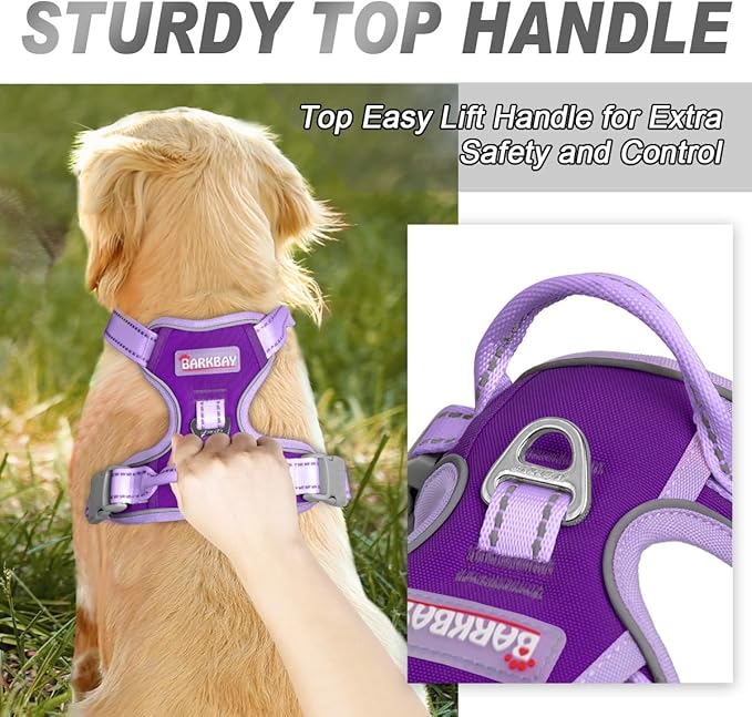 BARKBAY No Pull Dog Harness Front Clip Heavy Duty Reflective Easy Control Handle for Large Dog Walking(Violet Purple & Purple,M)