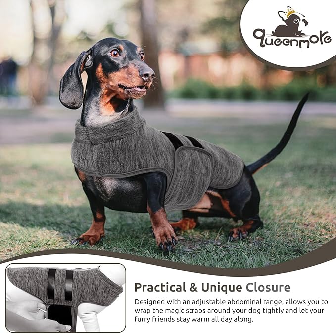 Queenmore Large Dog Sweaters, Soft Fleece Vest Pullover Dog Jacket with Leash Hole, Warm Winter Dogs Clothes Cold Weather Doggy Dachshund Sweater for Large Dogs Cats Boy or Girl (Cationic Gray, L)