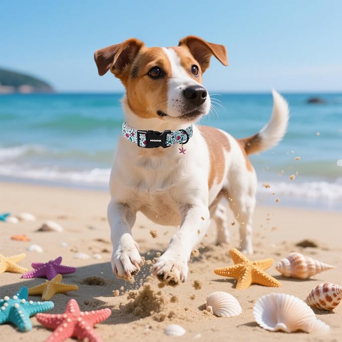 DOGWONG Blue Summer Dog Collar, Blue Beach Dog Collars, Adjustable Cute Boy Pet Collars Girl Design Dog Collar for Small Medium Large Dogs