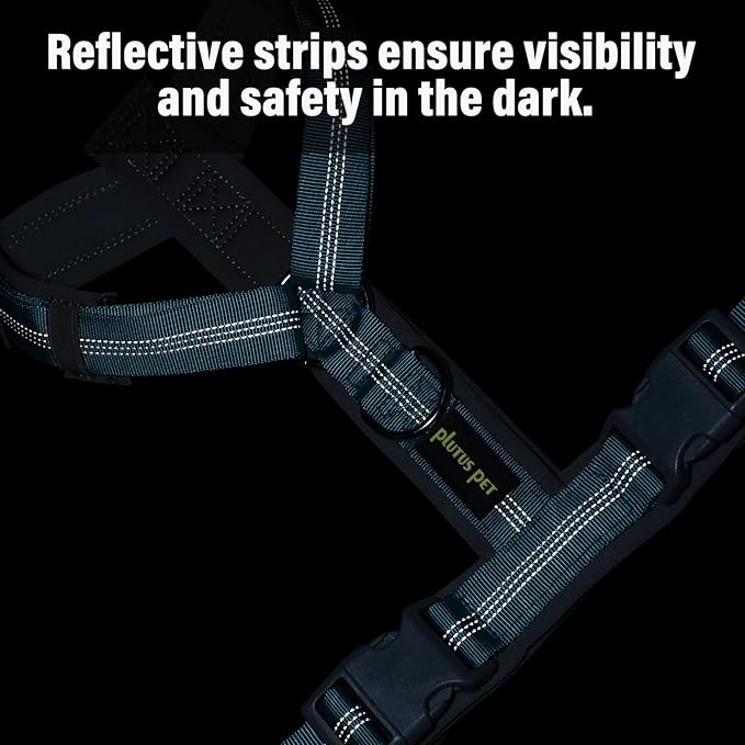 Plutus Pet No Pull Dog Harness, Adjustable Nylon Harness with Soft Padding, Reflective and Heavy Duty Dog Harness for Small, Medium, Large Dogs(Cyan, S)