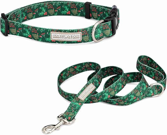 Lucky Love Dog - Easy Click Holly Dog Collar with Leash Set Combo, Durable & Comfortable for Male & Female Dogs, Pet Collar for Small to Large Dogs, Secure Fit - Holly Combo, XS
