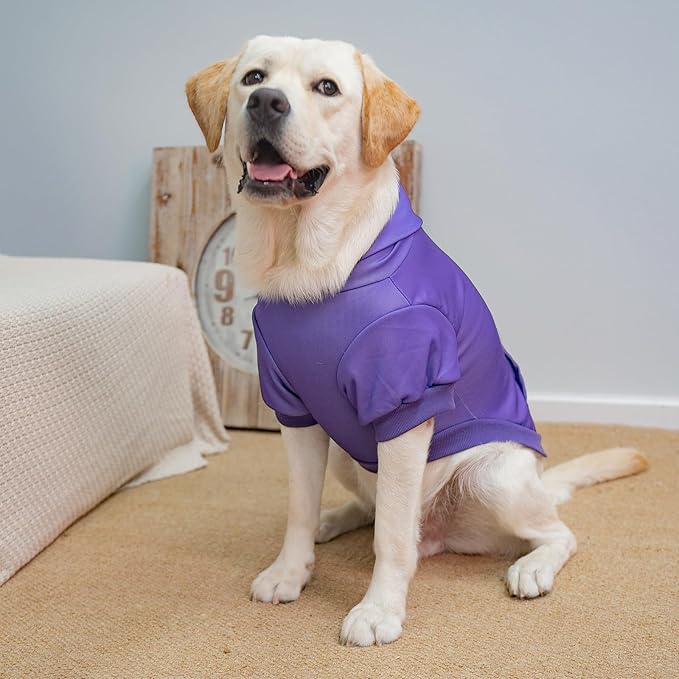 KOOLTAIL Basic Dog Hoodie - Soft & Warm Dog Hoodie Sweater with Leash Hole and Pocket, Dog Winter Coat, Cold Weather Clothes Sweatshirt for Small Medium Large Dogs Puppy Cat Boys Girls Purple L