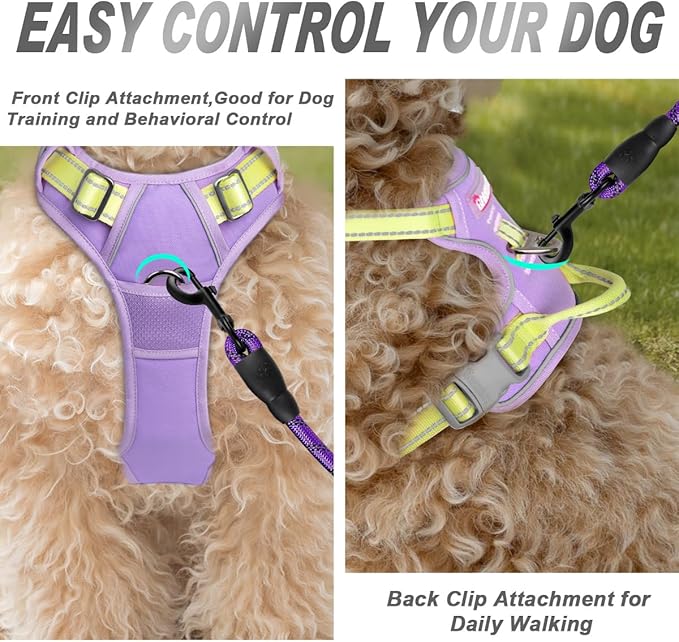 BARKBAY No Pull Dog Harness Front Clip Heavy Duty Reflective Easy Control Handle for Large Dog Walking(Violet Purple & Sunlight,S)