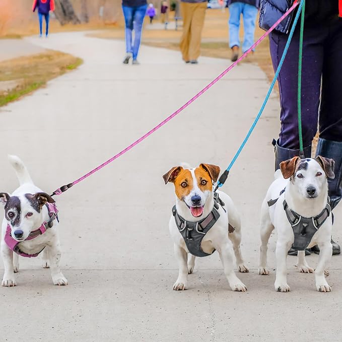 BEAUTYZOO Heavy Duty Rope Dog Leash 6 Pack, 6FT Nylon Pet Leash with Reflective Thread, Soft Padded Handle Thick Lead Leash for Large Medium Dogs Small Puppy, 1/2inch X 6 FT (18~120 lbs)