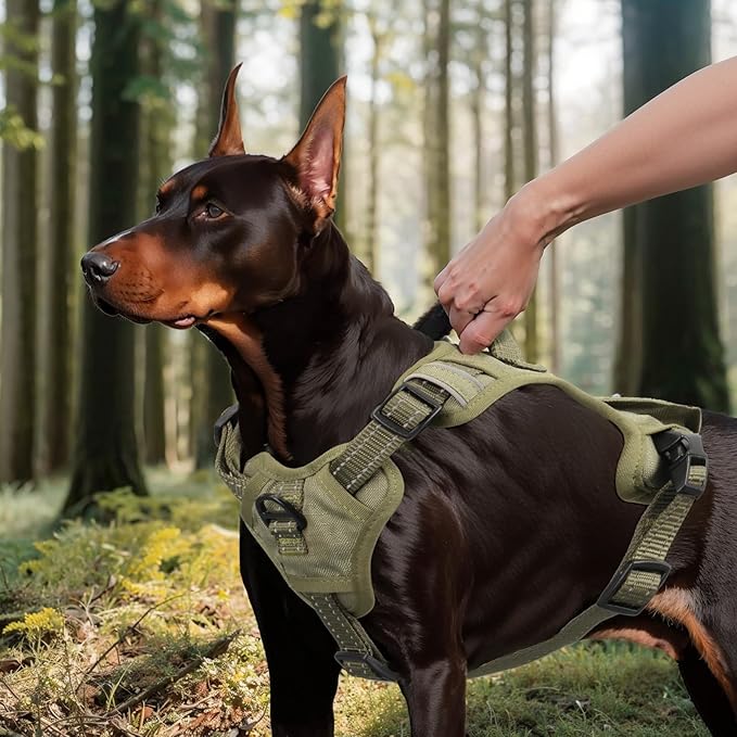 No Pull Dog Harness Medium Sized Dog for Service, Easy Walk, Training - Adjustable Reflective Dog Vest with Handle Easy Control - No Choke Metal Buckled Pet Harnesses (Green, Medium)