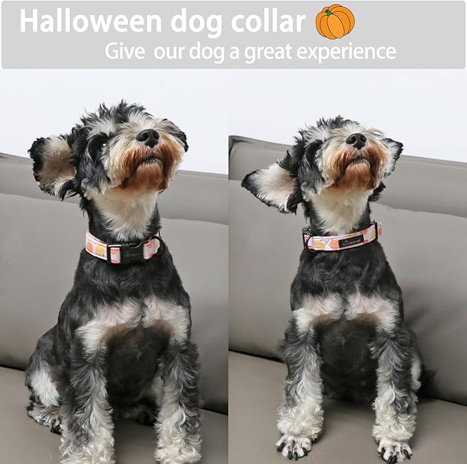 ARING PET Halloween Dog Collar-Cute Pumpkin Dog Collar for Small Dogs, Cotton Pink Girl Dog Collars with Quick Release Buckle for Small Medium Large Dogs