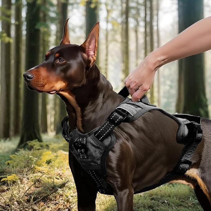 No Pull Dog Harness Medium Sized Dog for Service, Easy Walk, Training - Adjustable Reflective Dog Vest with Handle Easy Control - No Choke Metal Buckled Pet Harnesses (Black, Large)