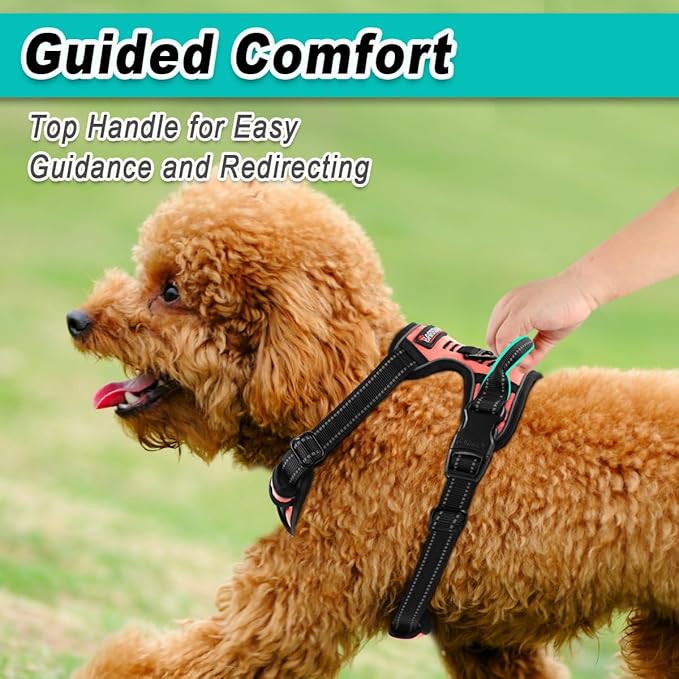 BARKBAY Dog Harness No Pull for Small Dogs - Adjustable, Reflective, Comfortable, No Choke, Heavy-Duty - Perfect for Outdoor Training, Walking, and Hiking - Strong & Durable - XS & Light Pink