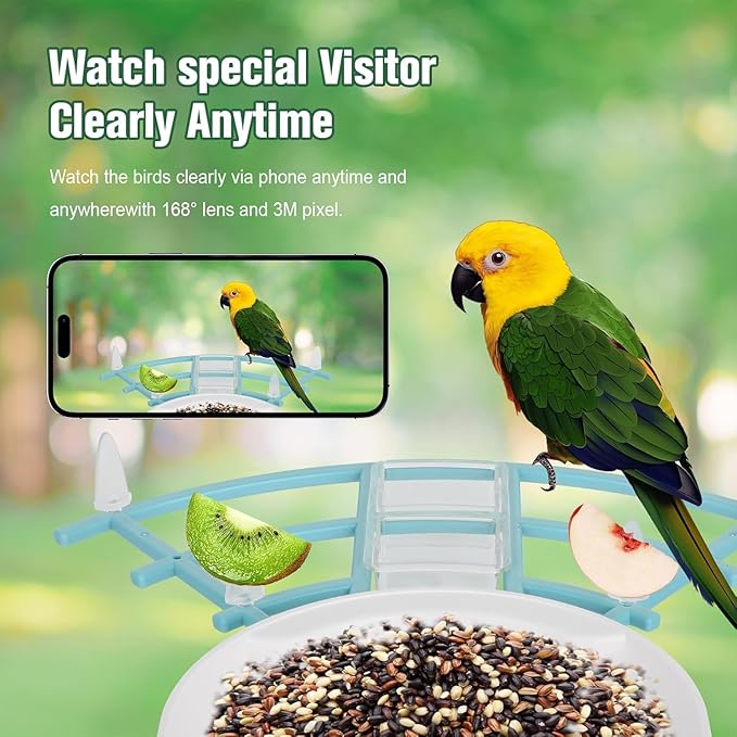 Bird Feeder with Camera, AI Identify Birds Species Solar Powered, Auto Record Videos in Backyard, Instant Notifications, Ideal Gift for Family and Bird Lovers