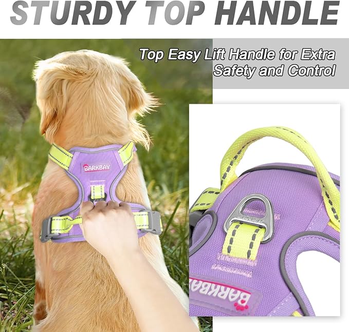 BARKBAY No Pull Dog Harness Front Clip Heavy Duty Reflective Easy Control Handle for Large Dog Walking(Violet Purple & Sunlight,XL)