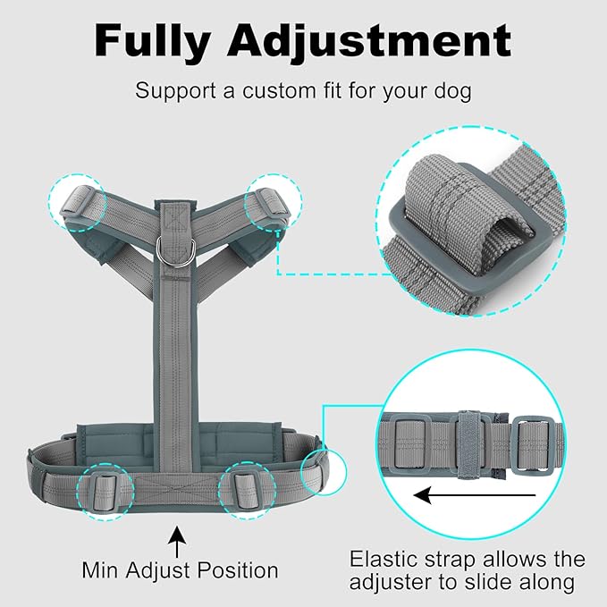 Plutus Pet No Pull Dog Harness, Adjustable Nylon Harness with Soft Padding, Reflective and Heavy Duty Dog Harness for Small, Medium, Large Dogs(Gray, M)