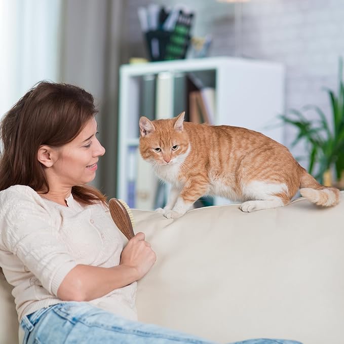 Takavu Natural White Boar Bristle Cat Brush - Gentle Grooming Tool for Sensitive Skin, Smoothing Fur & Healthy Shine - Soft Pet Brush