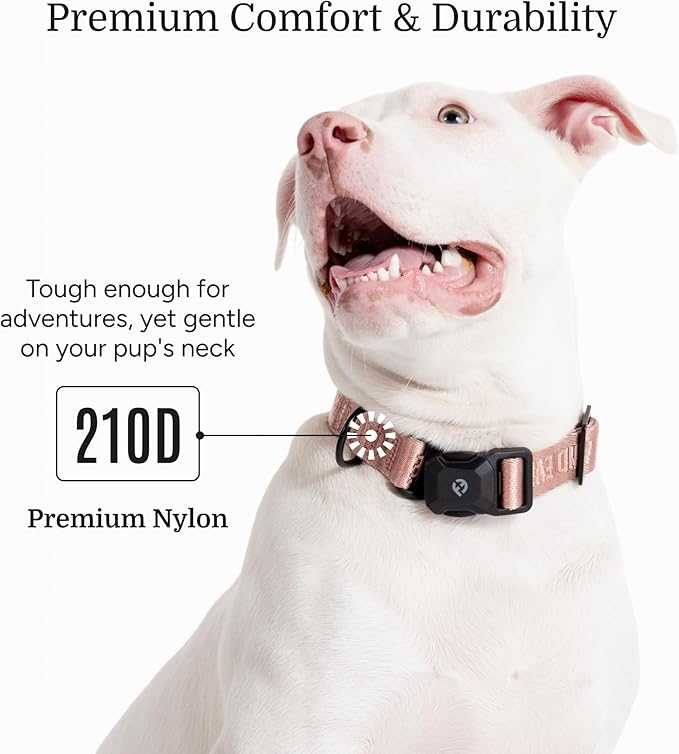 2025 New Edition, Fei & Eve MagEase Dog Collar - Patented Magnetic Buckles | Fur-Safe | Premium 210D Nylon | 450LB Escape-Proof | Adjustable Fit | Large (Blush)