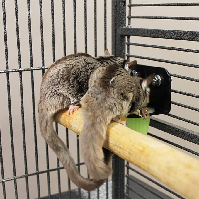 Nectar Pods (Variety 4 Pack) - Calcium-Fortified Jelly Fruit Treat - Sugar Gliders, Marmosets, Squirrels, Parrots, Cockatiels, Parakeets, Birds, Hamsters, Day Geckos, Kinkajous & Other Small Pets