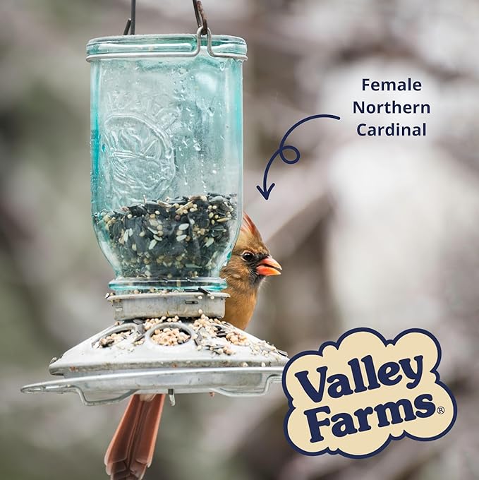 Valley Farms Super Deluxe Wild Bird Food (15 LB) for Outside feeders - 0% fillers - Loads of Sunflower Seed - w/Peanut kernels -Feed More Birds w/Less Seed