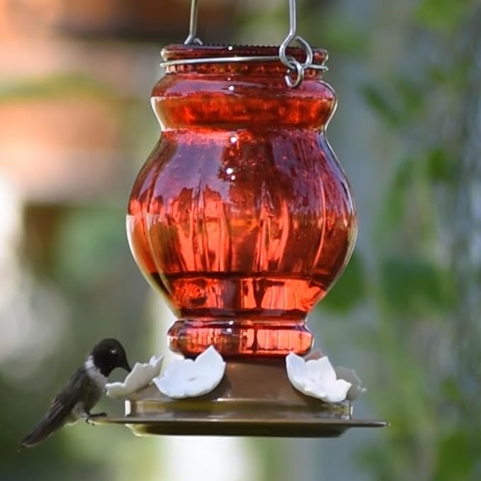 Nature's Way Hanging Glass Hummingbird Feeder for Outdoor Decor, 25 Ounce Capacity Nectar Feeder, 5 Easy to Clean Flexible Ports, Red