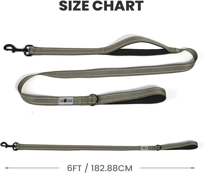 Dog Leash- 6 FT Leashes for Small to Large Dogs, Double Handle Dog Leash, Reflective Walking Training Lead (Dog Leash (Green), 6 FT Dog Leash)