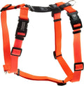 Blue-9 Buckle-Neck Balance Harness, Fully Customizable Fit No-Pull Harness, Ideal for Dog Training and Obedience, Made in The USA, Orange, X-Small