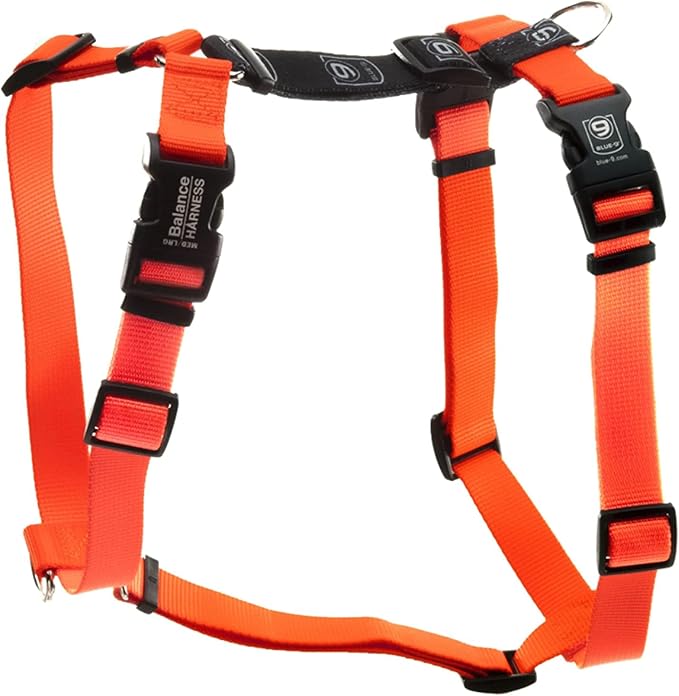 Blue-9 Buckle-Neck Balance Harness, Fully Customizable Fit No-Pull Harness, Ideal for Dog Training and Obedience, Made in The USA, Orange, Large