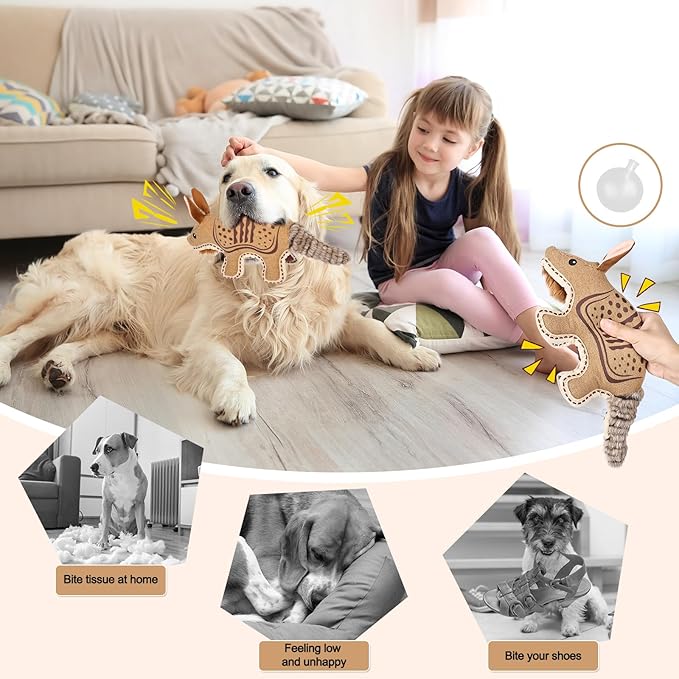 Tough Durable Squeaky Dog Toys for chewers Interactive to Keep Them Busy, Funny Tug of War Dogs Toy for Small Medium Large Cute Birthday Gift (Armadillo)