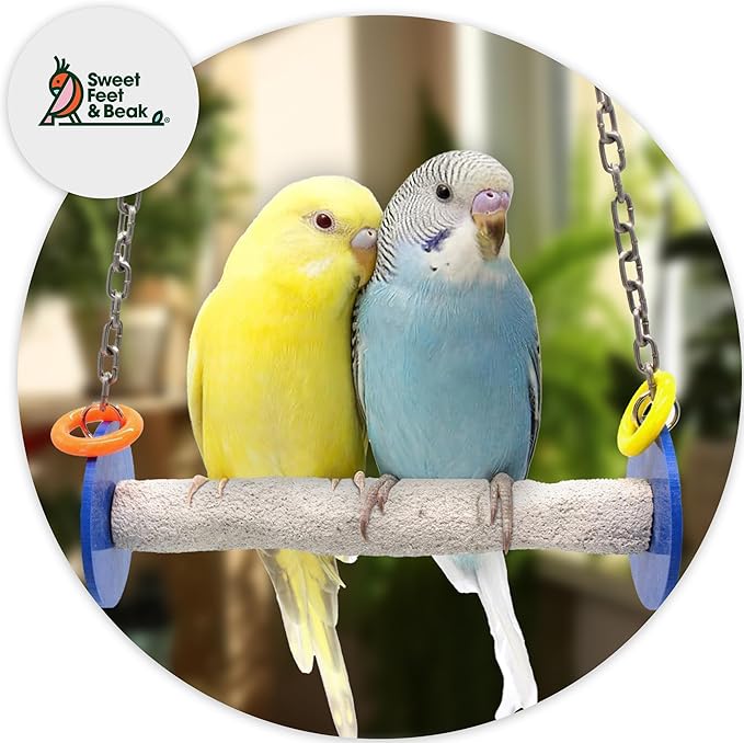 Bird Swing - Pumice Perch Trims Nails and Beaks, Safe and Non-Toxic, For Small and Large Birds, 10.5 Inches
