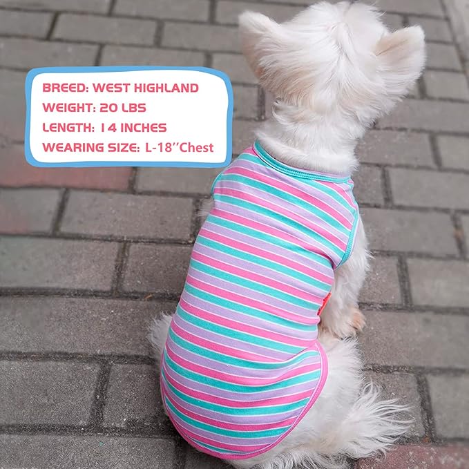 KYEESE 2Pack Dog Shirts Striped T Shirt Soft Tee for Small Dogs Cotton Tank Top Lightweight Sleeveless Vest Dog Clothes, Small,Purple+Striped