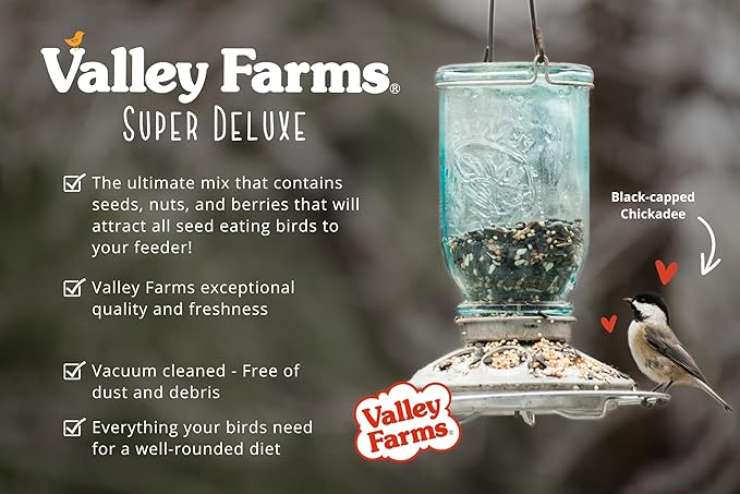 Valley Farms Super Deluxe Wild Bird Food for Outside feeders - 0% fillers - Loads of Sunflower Seed - w/Peanut kernels -Feed More Birds w/Less Seed (4 LBS)