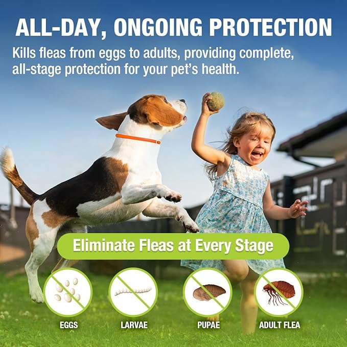 EcoVenger Flea & Tick Collar Repellent 2-Pack Orange, Fits Both Dogs & Cats, Built-in Pant-Based Formula Strong Repellency Slow Release, Lasting Deterrence and Protection, Pleasant Aroma, Waterproof