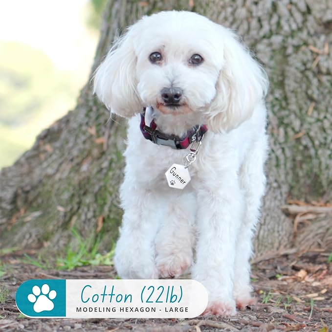 Ultra Joys Dog Tags Personalized for Pets - Hollow Paw Custom Pet ID Tag - Engraved Dog Tag for Small, Large Dogs - Small Hexagon in Black