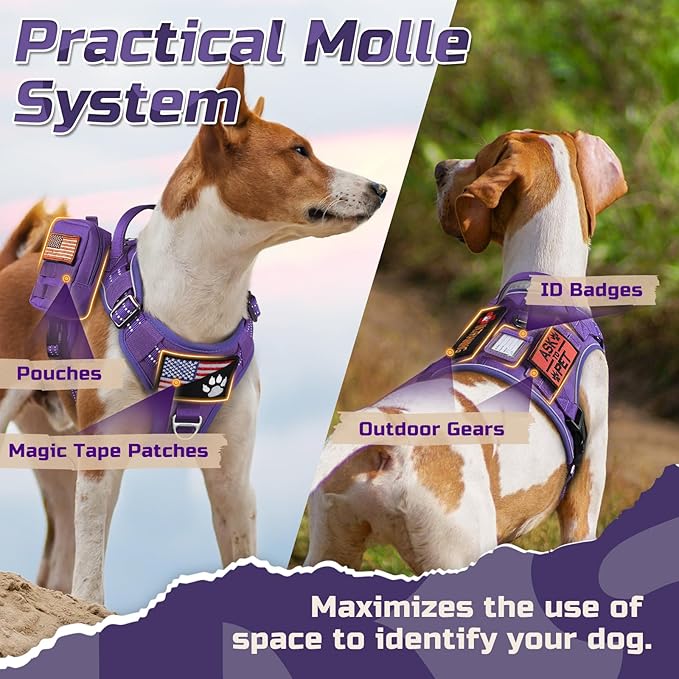 rabbitgoo Tactical Dog Harness Medium Sized Dog, No Pull Military Service Vest with Handle & Molle, Easy Control for Training Walking, Adjustable Reflective Straps, Purple, M
