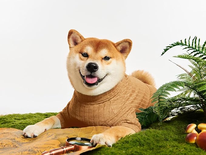 Dog Turtleneck Knitted Shirt Stretchy Pullover Sweater Winter Warm Puppy Clothes for Small Medium Dogs