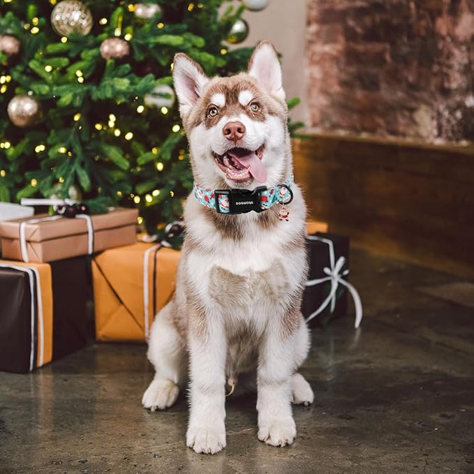 DOGWONG Christmas Santa Dog Collar- Cute Blue Christmas Penguin Dog Collar for Small Medium Large Dogs XS