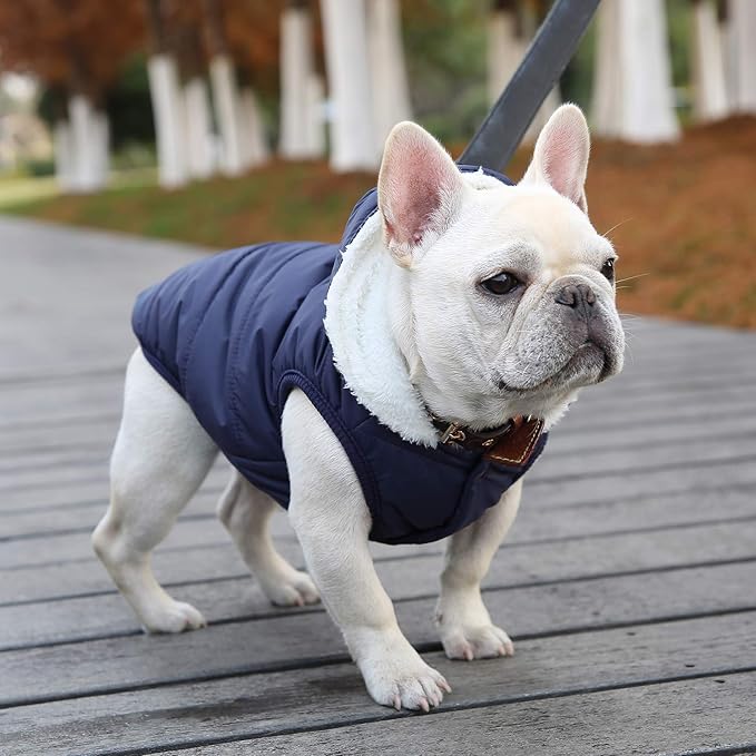 Fleece Hoodie, Windproof Waterproof Coat, Winter Warm Jacket, Cold Weather Pet Apparel Clothes Vest for Small Medium Large Dogs (M, Blue)