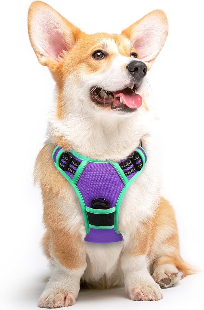 Eagloo Dog Harness Medium Sized Dogs, No Pull Service Vest with Reflective Strips and Control Handle, Adjustable and Comfortable for Walking, No Choke Harness with 2 Metal Rings, Purple & Green, M