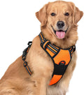 rabbitgoo Dog Harness No Pull with 2 Leash Clips, Adjustable Soft Padded, Reflective Oxford No Choke Pet Vest with Easy Control Handle for Large Dogs, Orange, XL