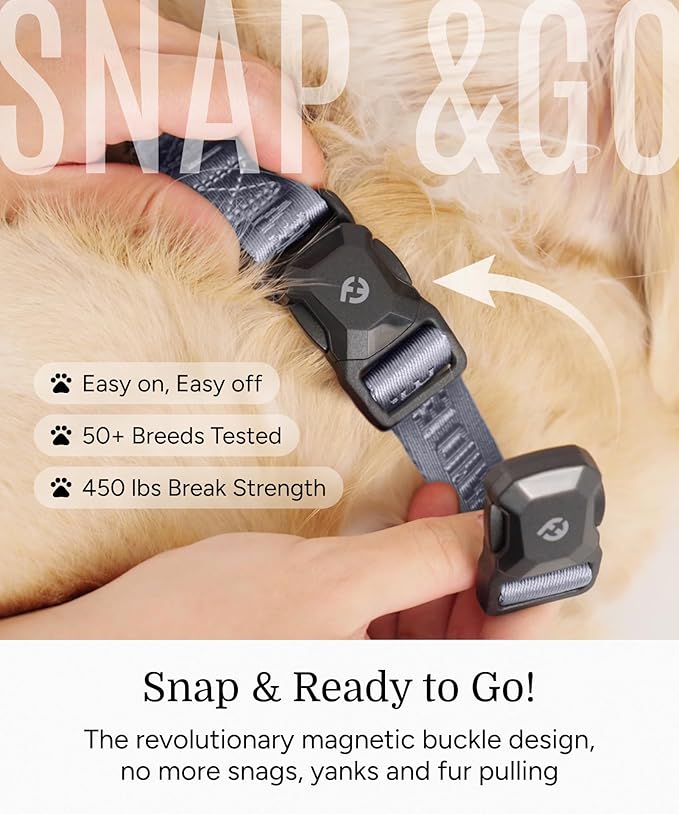 2025 New Edition, Fei & Eve MagEase Dog Collar - Patented Magnetic Buckles | Fur-Safe | Premium 210D Nylon | 450LB Escape-Proof | Adjustable Fit | Medium (Twilight Gray)