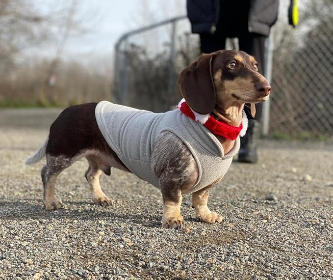 Gooby Fleece Vest - Gray-Yellow, Large - Warm Pullover Dog Jacket with O-Ring Leash