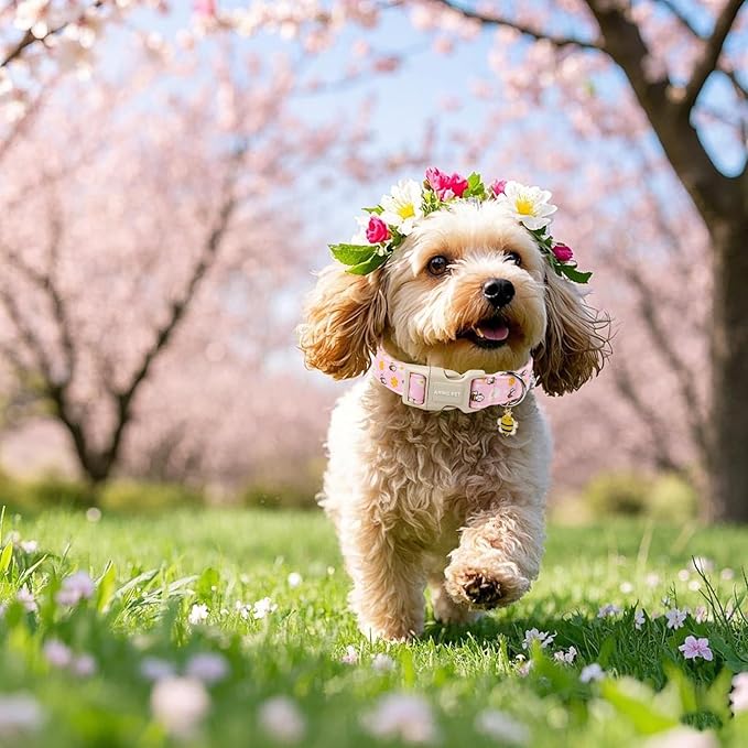 ARING PET Summer Dog Collar, Cute Pink Bee Daisy Floral Pet Collars with Quick Release Buckle for Puppy Small Medium Large Boy Girl Dogs-XS