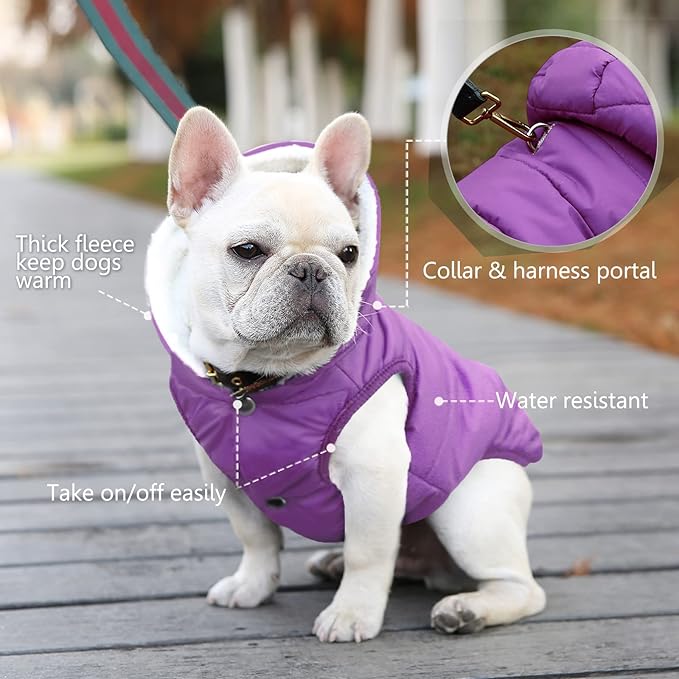 Windproof Waterproof Dog Coat Fleece & Cotton Lined Warm Jacket, Cold Weather Pet Apparel Clothes Vest for Small Medium Large Dog (XL, Purple)