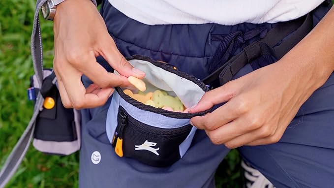 OllyDog Goodie Treat Bag, Dog Treat Pouch, Waist Belt Clip for Hands-Free Training, Magnetic Closure, Dog Training and Behavior Aids, Three Ways to Wear (Blue Heron)