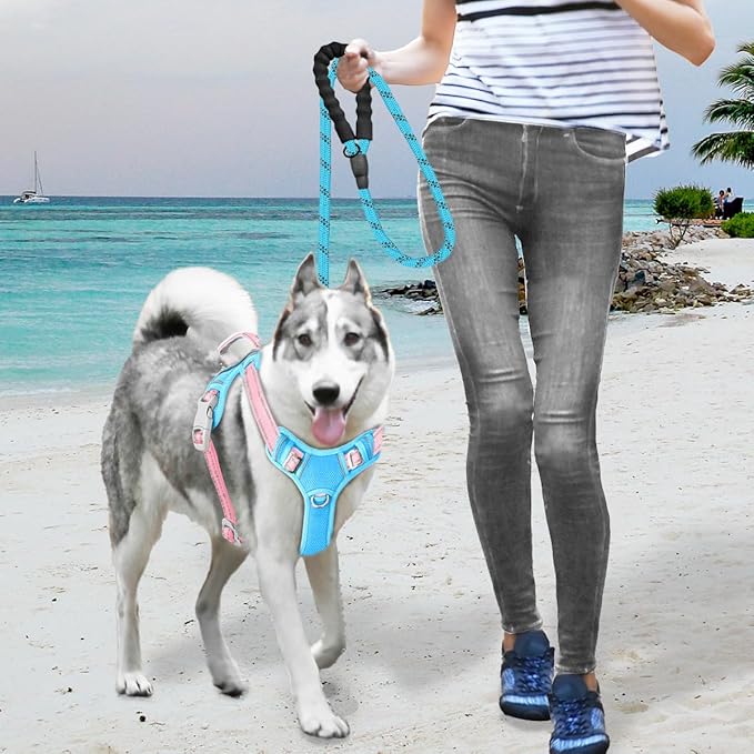 BARKBAY No Pull Dog Harness Large Reflective Dog Harness with Front Clip and Easy Control Handle for Walking Training Running with ID tag Pocket(Baby Blue & Baby Pink,M)