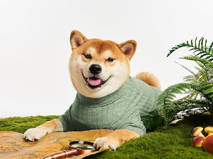 Dog Turtleneck Knitted Shirt Stretchy Pullover Sweater Winter Warm Puppy Clothes for Small Medium Dogs