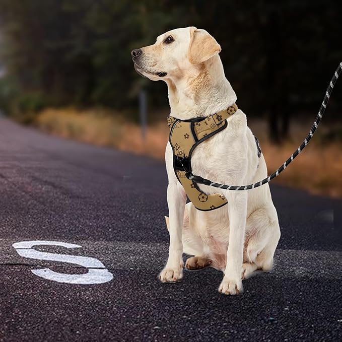 IVY&LANE No Pull Dog Harness with Leash Set, Reflective No Choke Pet Vest,Adjustable Oxford Dog Vest Harness with Easy Control Handle for Large Dogs (Light Brown,XL)