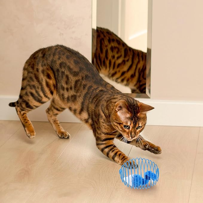 Jecery 5 Pcs Cat Spring Balls Stretchable Springs Toys Rolling Balls Colorful Playful Coils Interactive Spring Action Toy Caged Rats for Kitten Cat Pet Supplies Indoor (Mouse,Blue White)