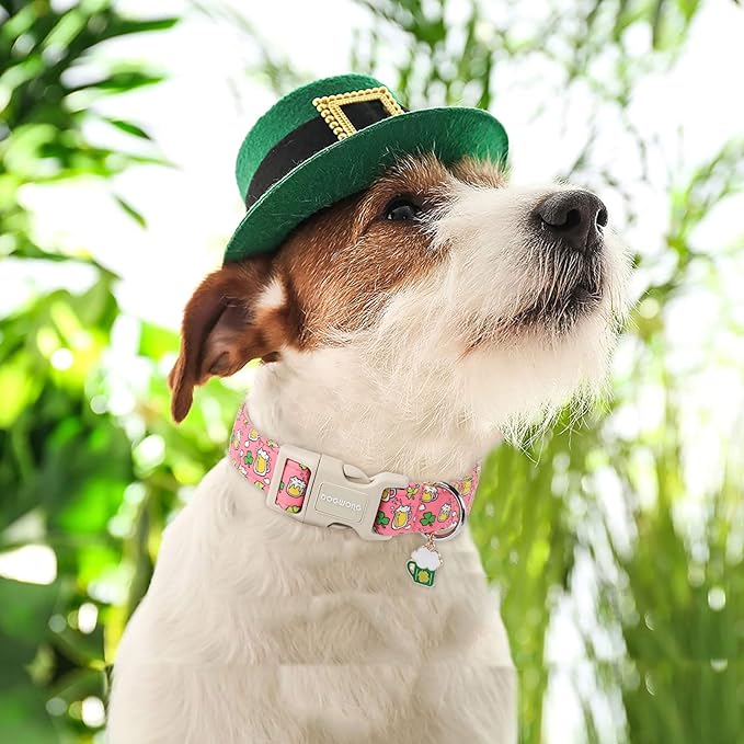 DOGWONG St. Patrick's Day Dog Collar, Pink Green Clover Dog Collars, Adjustable St. Patrick's Day Pet Collars Beer Dog Collar with Quick Release Buckle for Girl Female Dogs
