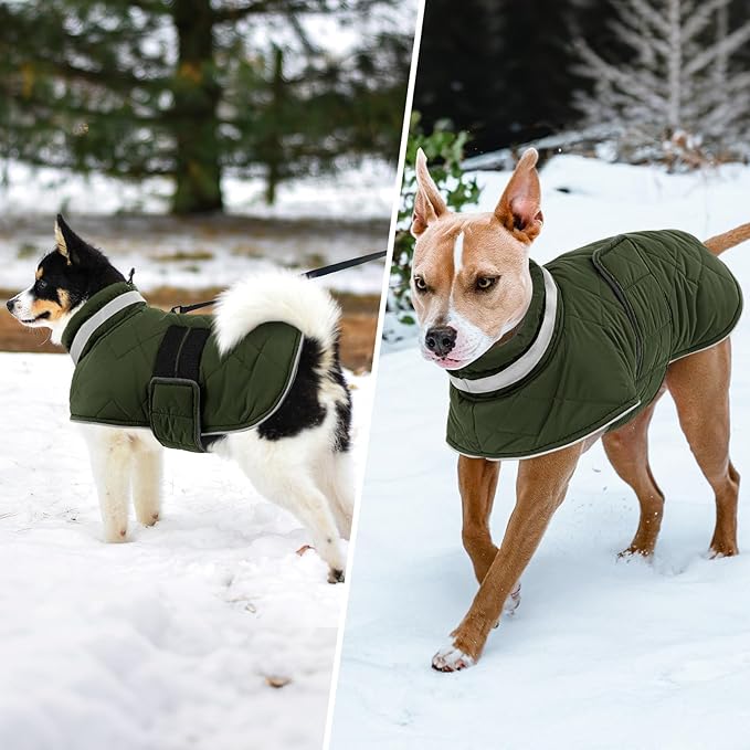 Dog Winter Coat Warm Padded Puppy Jacket Windproof Water Resistant Clothes for Small Medium Large Pets Christmas Sweater Outfit Vest(Green, S)